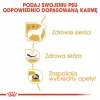 Royal Canin BHN West Highland Balta Terrier Adult – sausas ėdalas suaugusiems šunims – 3 kg