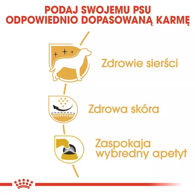 Royal Canin BHN West Highland Balta Terrier Adult – sausas ėdalas suaugusiems šunims – 3 kg