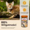 INABA Churu Varieties Chicken - katės skanėstai - 50 x 14g