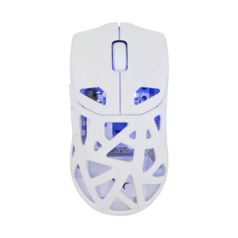 Belaidė pelė White Shark GM-5019 Dagonet Wireless
