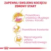 ROYAL CANIN Maine Coon Kitten- sausas kačių maistas - 4 kg