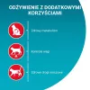 PURINA One Bifensis Sterilcat Jautiena - sausas kačių maistas - 800 g