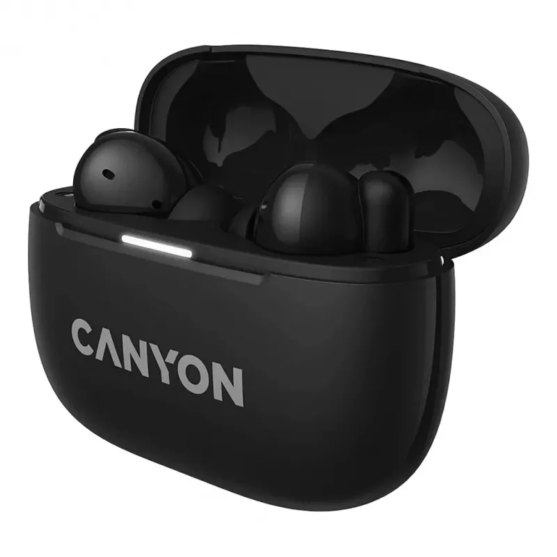 Ausinės Canyon CNS-TWS10B