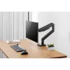 Monitoriaus laikiklis DIGITUS Single, spaustukas, iki 49 colių (124,5 cm), 20 kg, VESA 75x75–100x100, pasvirimas -20° iki 50°, aukščio reguliavimas, juodas
