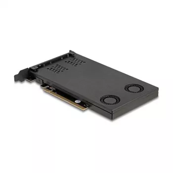 Delock PCI Express x16 kortos rėmas dviem M.2 NVMe SSD su bifurkacija 47042