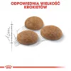 Sausas kačių maistas Royal Canin Active Life Outdoor 4 kg — suaugusioms katėms, paukštienos, 30% baltymų, 20% riebalų
