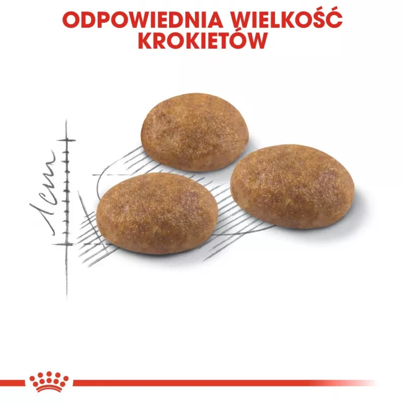 Sausas kačių maistas Royal Canin Active Life Outdoor 4 kg — suaugusioms katėms, paukštienos, 30% baltymų, 20% riebalų
