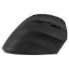 Ergonominė dešiniarankė belaidė pelė, dviguba WL+BT