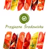 Toraf pomidorų sėklų rinkinys Eden - 8 pakuotės