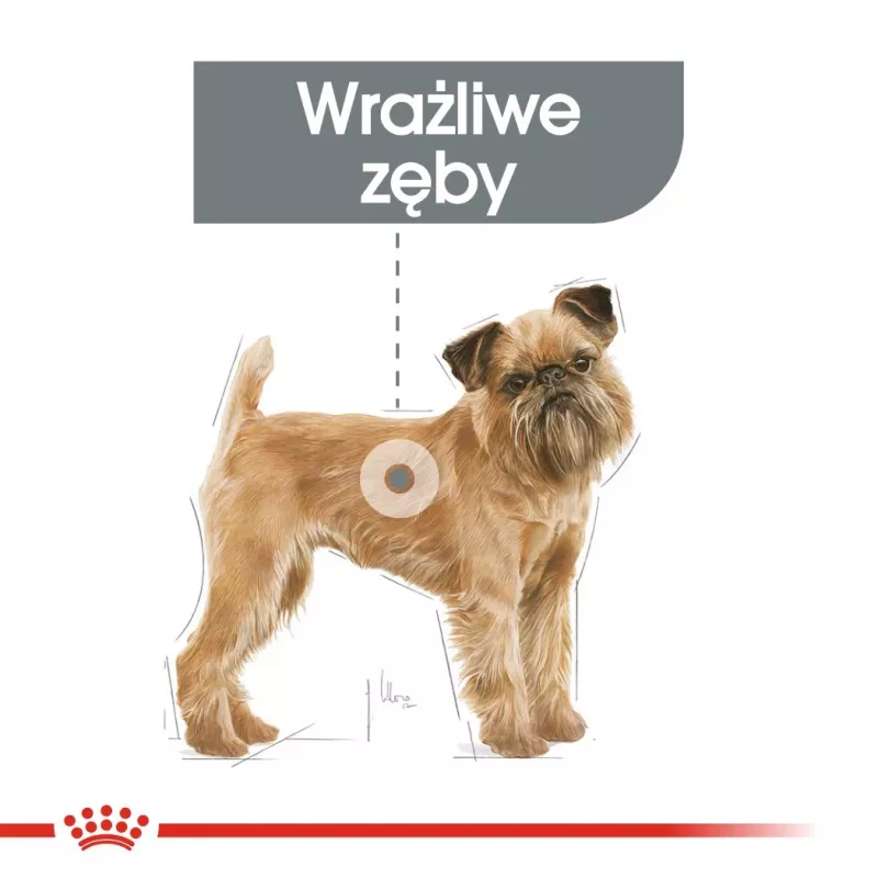 Sausas šunų maistas Royal Canin Mini Dental Care 3 kg — suaugę mažų veislių šunys, paukštienos skonio, dantų priežiūra