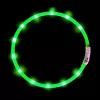 LED antkaklis Anicoll Green šunims ir katėms Model 9997790759014, įkraunamas apšvietimas