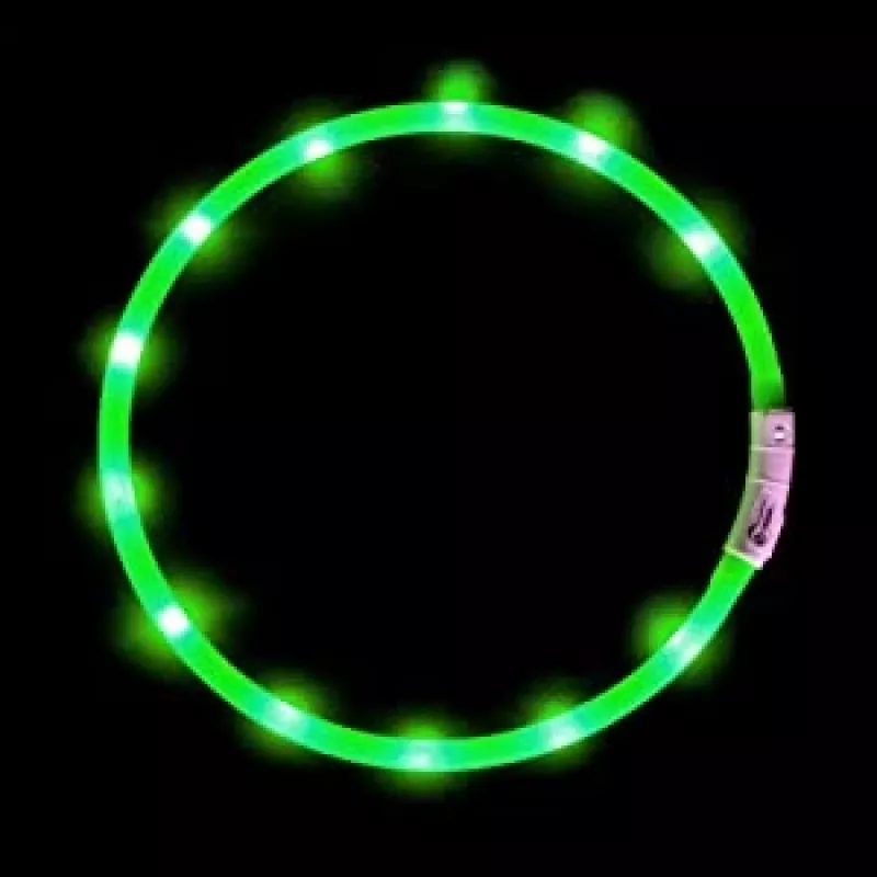 LED antkaklis Anicoll Green šunims ir katėms Model 9997790759014, įkraunamas apšvietimas
