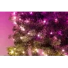 Iš anksto apšviesta kalėdinė eglutė Twinkly Regal Tree 1,50 m — 270 RGB šviesos diodų, Wi‑Fi ir Bluetooth, IP20, 36 W, žalias laidas
