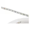 Synergy 21 LED Flex Strip 5050 - 60 RGB DC24V + RGB-W vienas lustas nw IP68