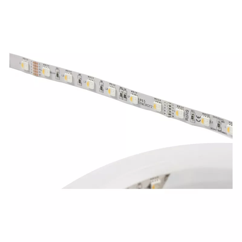 Synergy 21 LED Flex Strip 5050 - 60 RGB DC24V + RGB-W vienas lustas nw IP68
