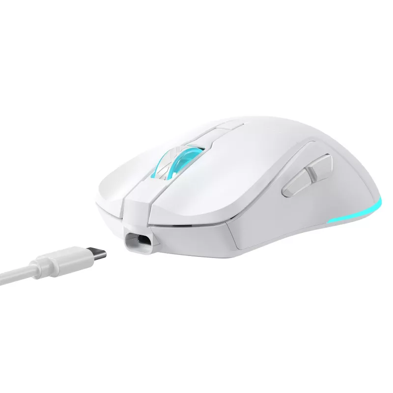 Pelė Baracuda BGM-122 Turtle balta TURTLE-W