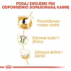 Sausas šunų maistas Royal Canin Labrador Retriever Adult 12 kg — Paukštiena, 30 % baltymų, 13 % riebalų