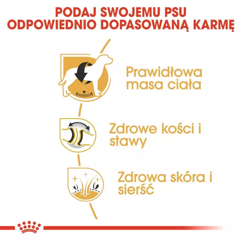 Sausas šunų maistas Royal Canin Labrador Retriever Adult 12 kg — Paukštiena, 30 % baltymų, 13 % riebalų