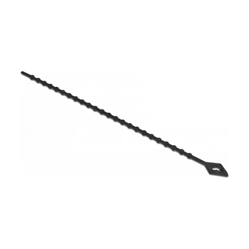 Karoliukinis kabelių raištis DeLOCK 19568 L 150 x P 2,4 mm juodas 100 vnt.
