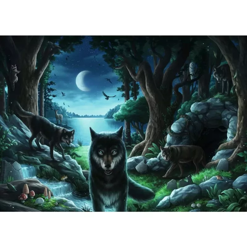 Kontūrinė dėlionė Ravensburger 15028