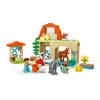 Konstruktorius LEGO DUPLO Farm Animal Care rinkinys 10416 — 74 dalys, 2 minifigūrėlės, amžius 2+