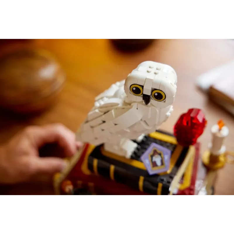 LEGO HARRY POTTER 76466 Išminties akmuo - kolekcinis leidimas
