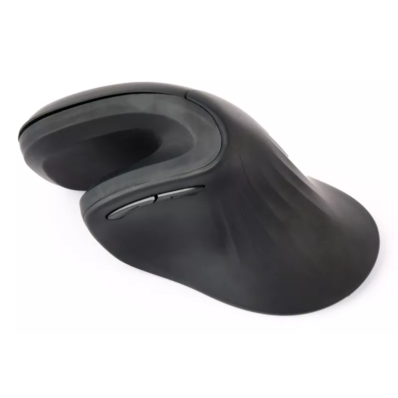 Gembird MUSW-ERGO-03 pelė Namams Dešiniarankiams RF Belaidis Optinis 1600 DPI