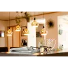 LED lemputė Segula 55058 Šilta balta 1900 K 6 W E27