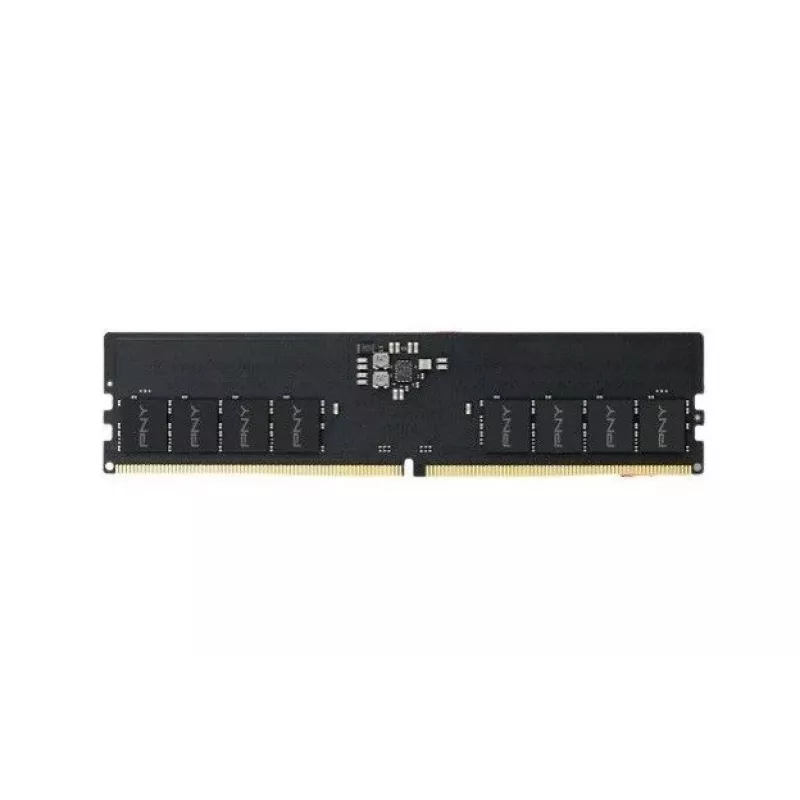 Pny MD16GSD54800-BLK atminties modulis