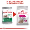 Sausas šunų maistas Royal Canin Mini Exigent 1 kg — mažų veislių senjorams, 30 % baltymų, 22 % riebalų