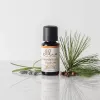 Ellia ARM-EO15WNL-WW2 Wanderlust 100% grynas eterinis aliejus - 15ml
