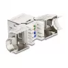 DeLOCK Keystone modulis RJ45 lizdas į LSA Cat.6A metalinis fiksatorius be įrankių 90° kampinis ekranuotas