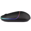 Pelė Tracer RATERO RF belaidė + USB Type-C