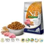 FARMINA N&D Ancestral Grain Puppy Medium&Maxi Lamb - sausas šunų maistas - 12 kg