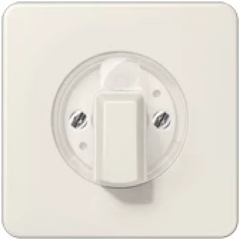 JUNG CD 1541 - Ivory - 1101-4 - 1101-20 - 11015 - 11120-20 - 1234,10 - 1234,20 - IP44