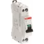 ABB 2CSS255101R0065 – miniatiūrinis automatinis jungiklis (2CSS255101R0065)