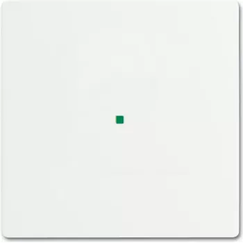 Busch-Jaeger 2CKA006220A0481 Jutiklio laikiklio ir lizdo dengiamoji plokštė Balta (2CKA006220A0481)