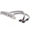 Lizdo laikiklio kabelis USB 2.0 HighSpeed Type 2xIDC (5pin)/4xUSB A M/F pilkas 0,25 m