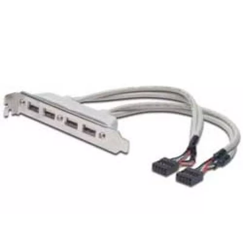 Lizdo laikiklio kabelis USB 2.0 HighSpeed Type 2xIDC (5pin)/4xUSB A M/F pilkas 0,25 m