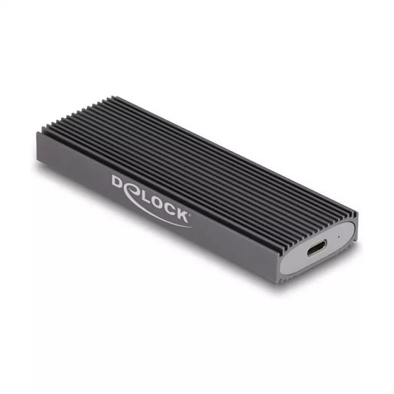 SSD korpusas DeLOCK External USB Type-C Combo Enclosure for M.2 NVMe PCIe or SATA SSD tool free