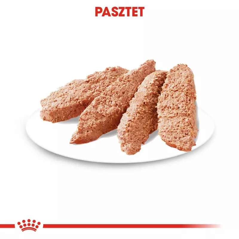 Šlapias šunų maistas Royal Canin Exigent Meat Universal 12×85 g — Paukštiena, suaugusiems šunims, išrankiems šunims