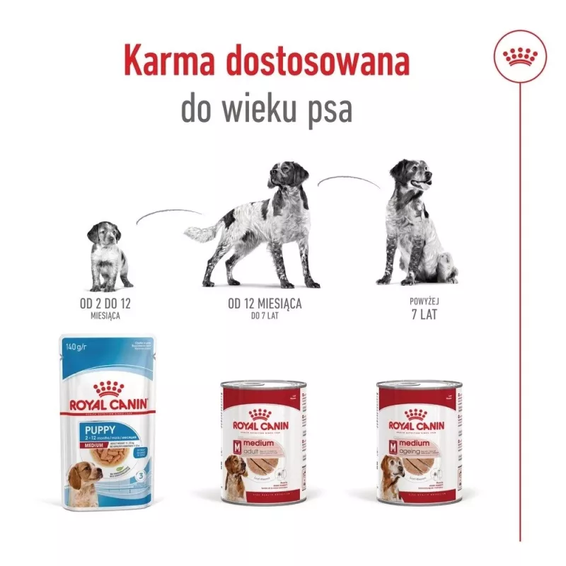 ROYAL CANIN SHN Medium Ageing Loaf Can 410g