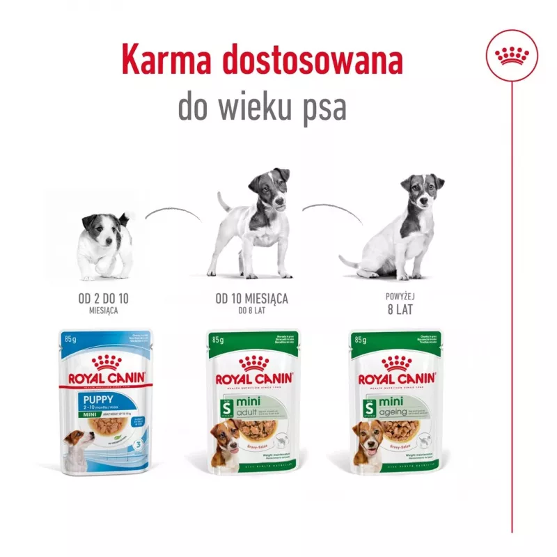 Šlapias šunų ėdalas Royal Canin Mini Ageing 12+ Adult paketėlis 85 g — mažos veislės, paukštiena, vyresnio amžiaus