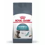 Royal Canin Hairball Care sausas kačių maistas, 10 kg — suaugusioms katėms skirta formulė, kukurūzai ir paukštiena