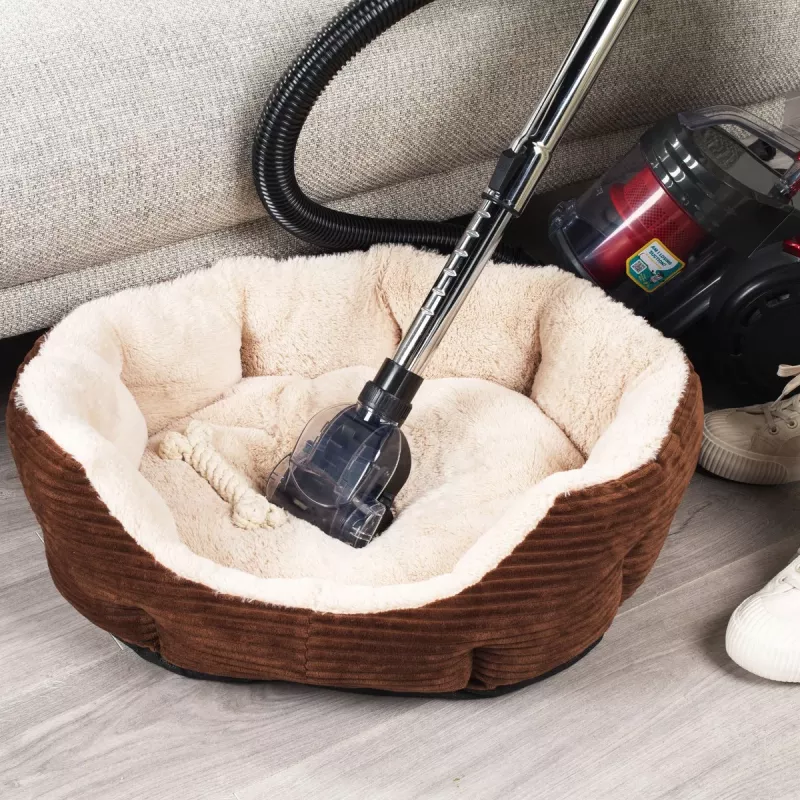 Dulkių siurblys Beldray BEL0700TBVDE Compact Pet Plus