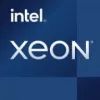 Intel Xeon E-2336 procesorius 2,9 GHz 12 MB išmanioji podėlio atmintis dėklas