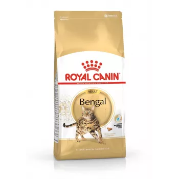 Sausas kačių maistas Royal Canin Bengal Adult 10 kg — Vištiena, 40% baltymų, 18% riebalų