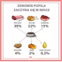PUPIL Premium All Meat Venison - šlapias šunų maistas - 800 g