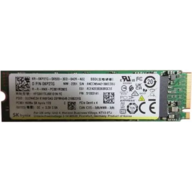 Vidinis SSD Dell 1TB PM9A1 (modelis: SSDR G44 80S3)