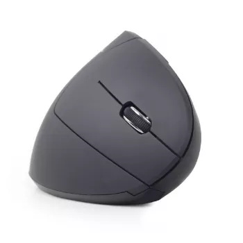 Gembird MUSW-ERGO-01 pelė Dešiniarankiams RF belaidė optinė 1600 DPI